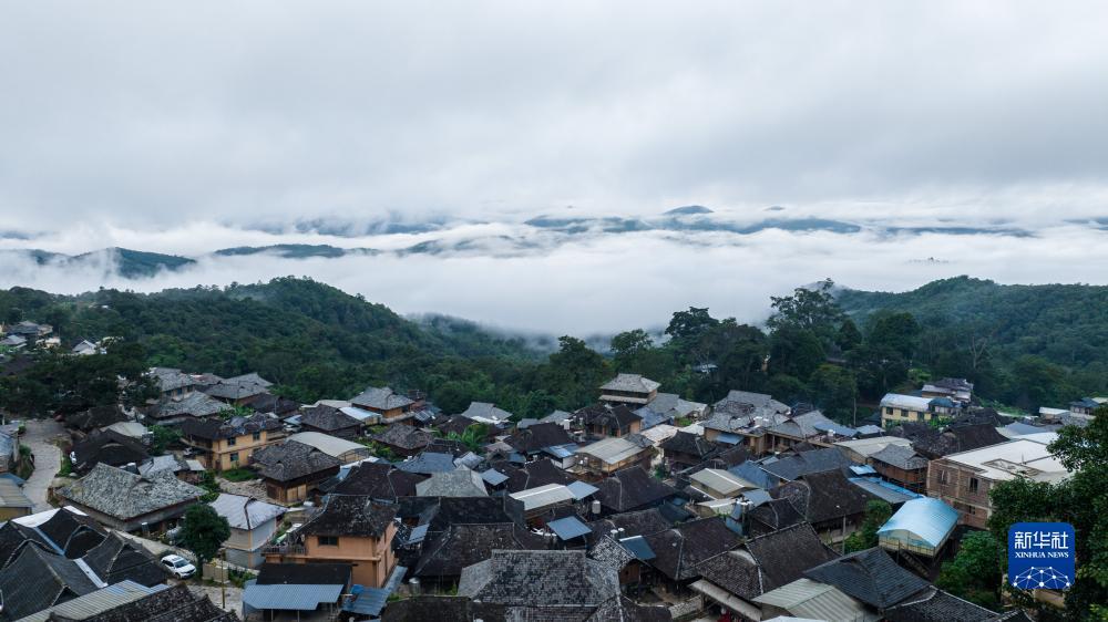 大平台棋牌